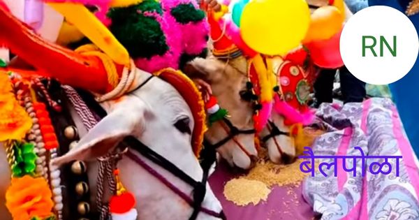 बैलपोळा ,नंदी पोळा व बेंदूर सोहळा